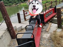 -梅岭月亮湾山体公园
