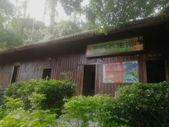 -森波拉火山温泉