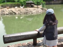 -田园东方蜜桃村的田野营地