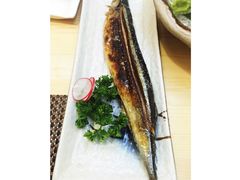 -樱の千渡日式料理·铁板烧•烧鸟(金盛田广场店)