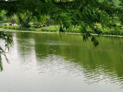 -东岳体育公园