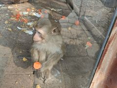 -辛玛王国游乐园