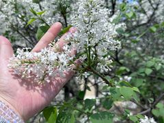 -中福百货(望京店)