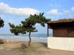 -巧克力渔家.小船海鲜家常菜(万平口店)