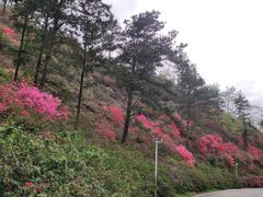 -木兰云雾山