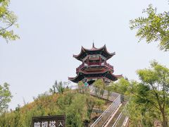 -南大港湿地风景区