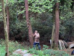 -铁山坪森林公园