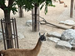 -太原动物园
