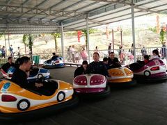 -泉州海丝野生动物世界