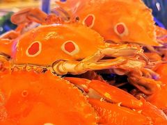 -星璞餐厅(深铁塘朗城君璞酒店)