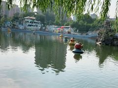 -团结湖公园