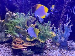 -常州海昌海洋探索馆