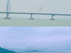 -潭村(地铁站)