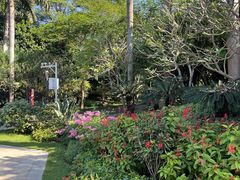 -深圳湾公园(南山区)