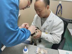 -安安宠医·臻爱宠物医院·宠保定点(营门口路分院)
