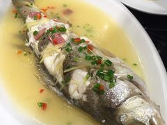 -高第街56号餐厅(邹城新一中店)