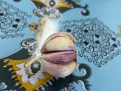 -南关葫芦头(南稍门店)