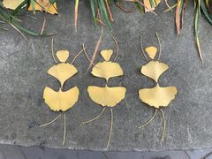-香园自助小火锅