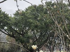 -普陀山风景名胜区-法雨禅寺