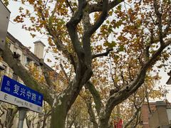 -璐坊粽王(复兴中路店)