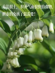 -雅曼妮spa美容养生