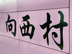 -向西村(地铁站)