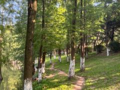 -番禺大夫山森林公园