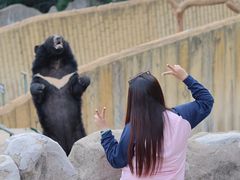 -东方熊牧场