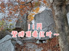 -崂山巨峰游览区