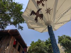 -西双版纳原始森林公园