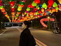 -东南花都花博园