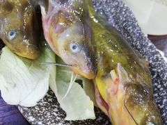 -练掌门·火锅&烧烤&烤鱼(北亭店)