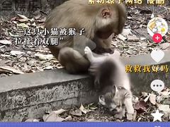 -昆明动物园