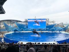 -上海海昌海洋公园