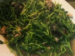 -龙眼南白粥六顺白粥