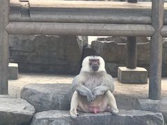 -上方山森林动物世界