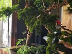 -蓉府金足印象影院式足道·按摩·SPA·美食(青白江31分店)