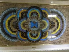 -上海昆虫博物馆