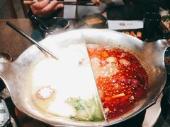 台式麻辣花胶鸡鸳鸯锅-湊湊火锅·茶憩(世博大道店)