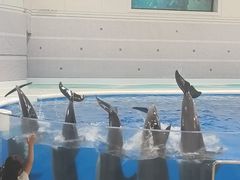 -鹿儿岛水族馆