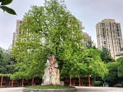 -龙头寺公园