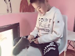 -李小姐の猫咖啡馆(五角场店)