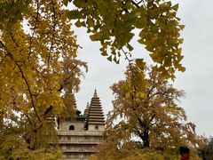 -北京石刻艺术博物馆(五塔寺)