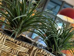 -米兰西点(辽阳店)