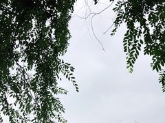 -月湖风景区