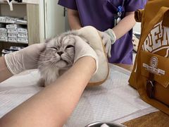 -萌兽医馆·眼科·异宠专科(三里屯店)