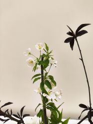 -今日陶艺(富力广场店)