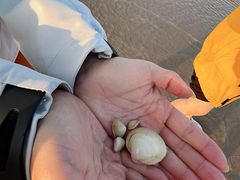 -日照海滨国家森林公园