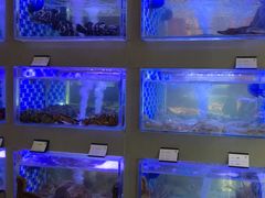 -映像威海·威海宴(威高广场店)