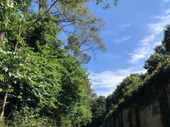 -广州市白云山风景名胜区